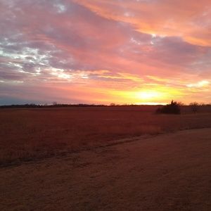 Meet your Posher, Jane